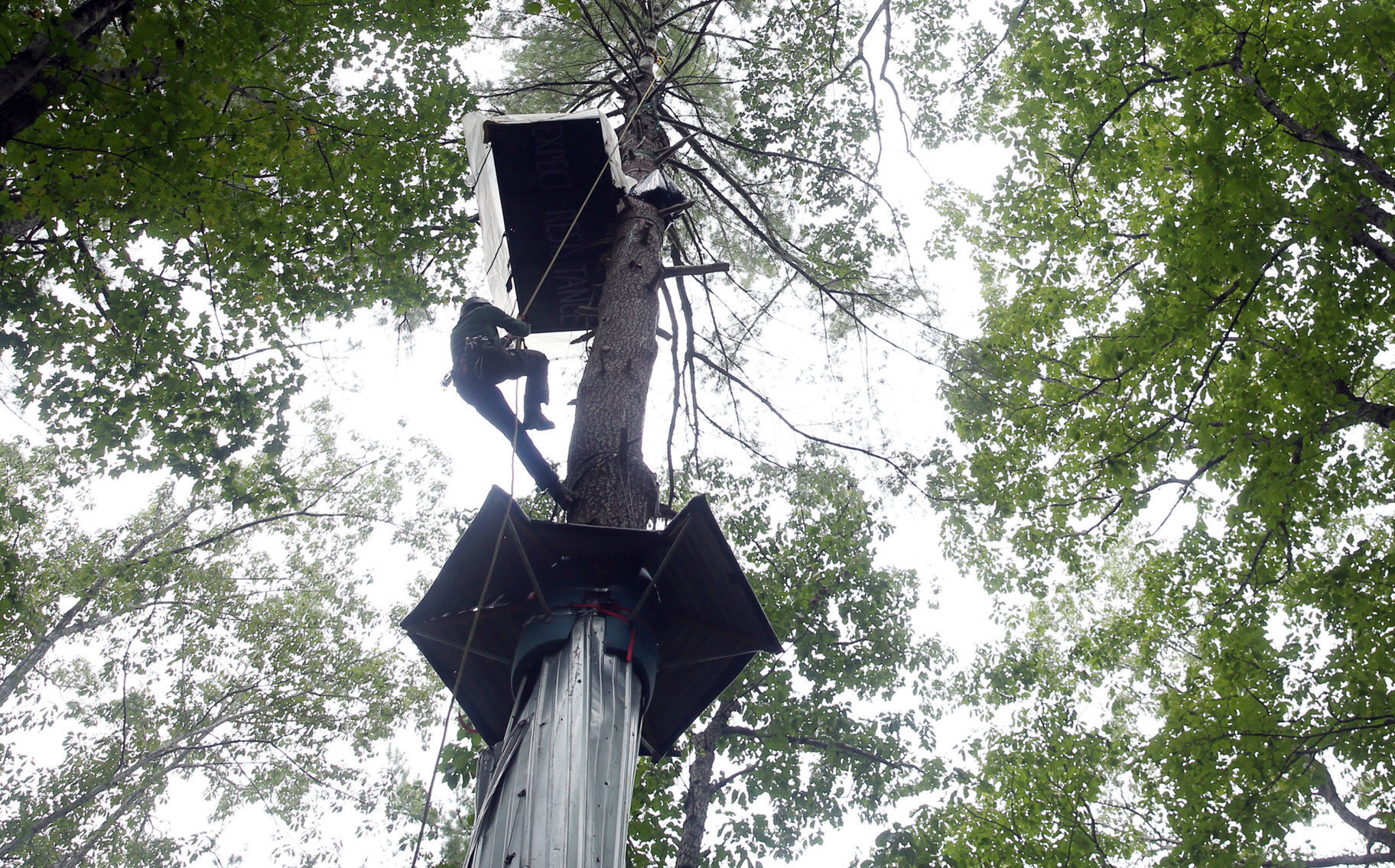 hr treesits 091520 p01